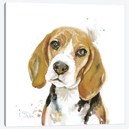 Watercolor Beagle Canvas Print #PPI579} by Patricia Pinto Canvas Artwork