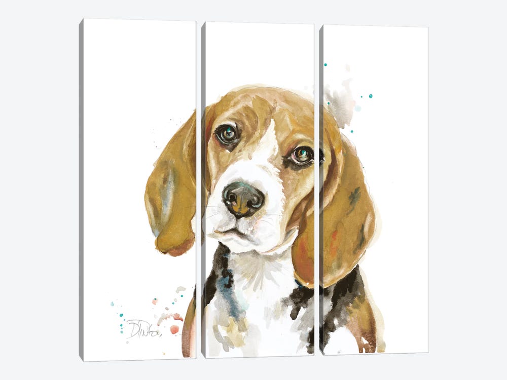 Watercolor Beagle by Patricia Pinto 3-piece Canvas Art Print