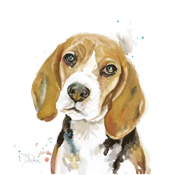 Beagles: Watercolor Beagle by Patricia Pinto