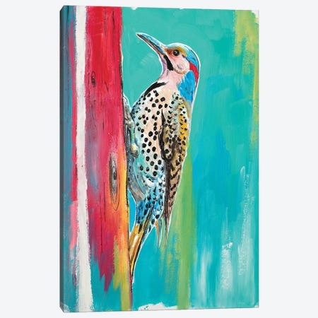 Woodpecker II Canvas Print #PPI593} by Patricia Pinto Canvas Wall Art