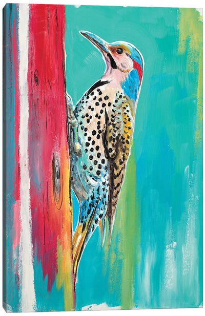 Woodpecker II Canvas Art Print - Woodpecker Art