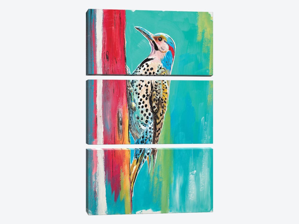 Woodpecker II by Patricia Pinto 3-piece Canvas Art Print