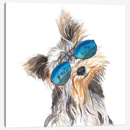 Yorkie With Shades Canvas Print #PPI594} by Patricia Pinto Art Print