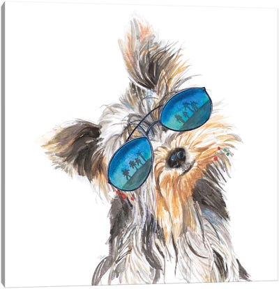 Yorkie With Shades Canvas Art Print - Yorkshire Terrier Art