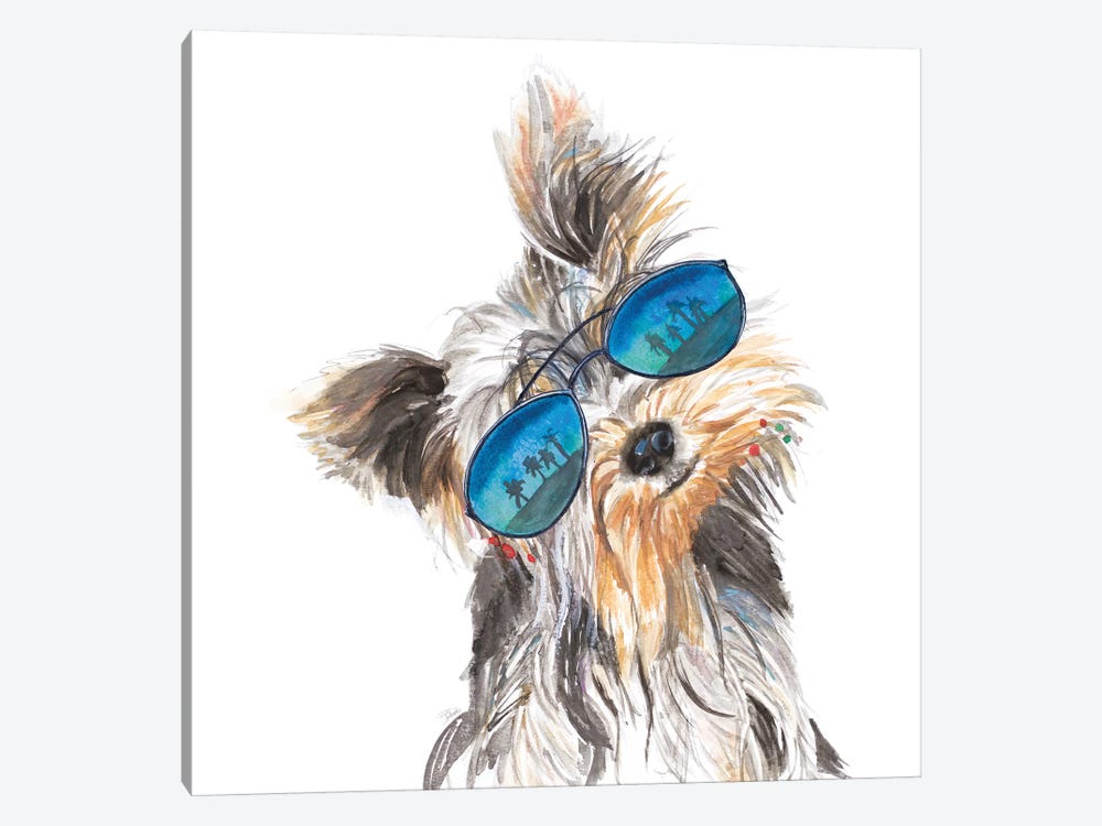 Yorkie With Shades by Patricia Pinto 1-piece Canvas Art