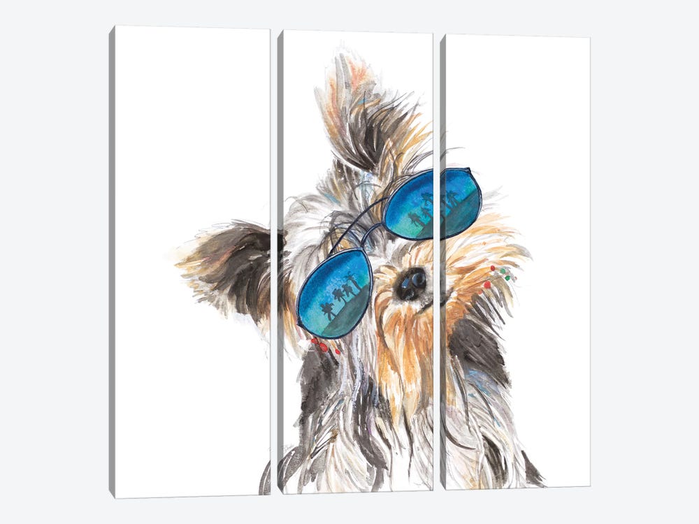 Yorkie With Shades by Patricia Pinto 3-piece Canvas Artwork
