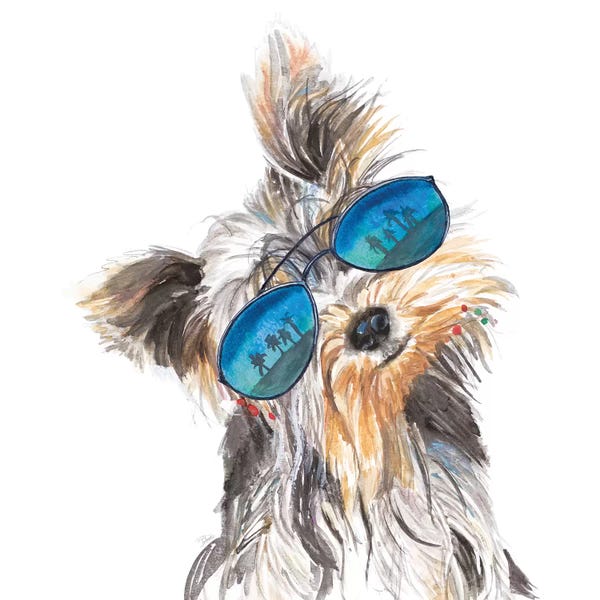 Patricia Pinto: Yorkie With Shades by Patricia Pinto