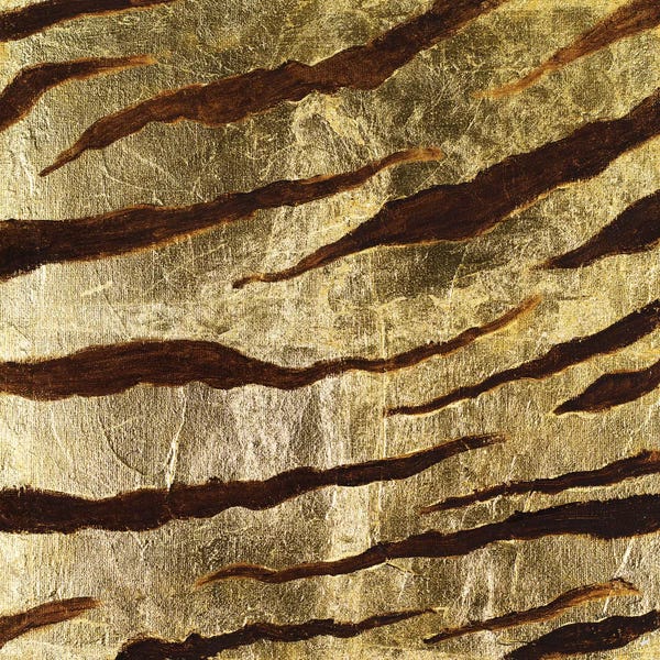 Animal Patterns: Zebra Skin by Patricia Pinto