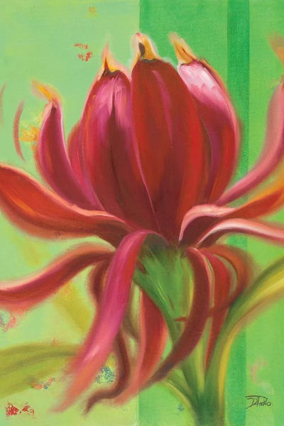 Exotica I by Patricia Pinto canvas print