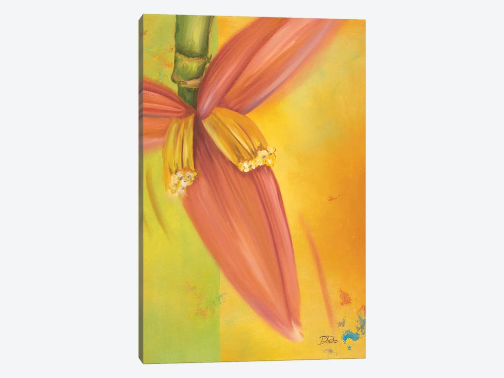 Exotica II by Patricia Pinto 1-piece Canvas Wall Art