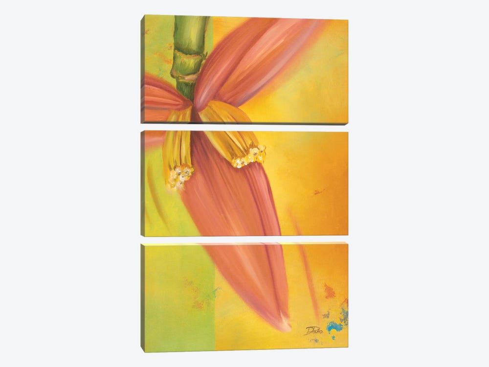 Exotica II by Patricia Pinto 3-piece Canvas Wall Art