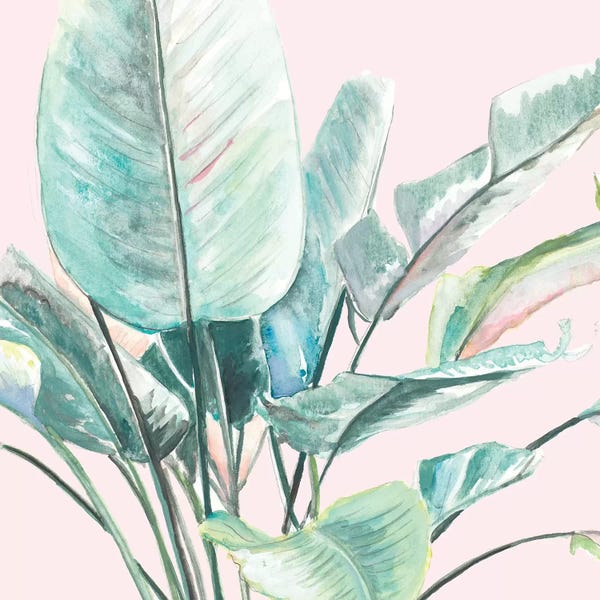 Patricia Pinto: Jungle Leaf II by Patricia Pinto