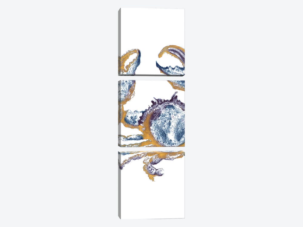 Surf Side Golden Blue Crab by Patricia Pinto 3-piece Art Print