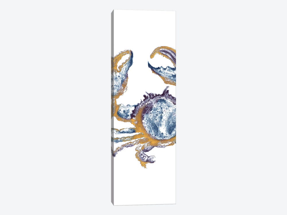 Surf Side Golden Blue Crab by Patricia Pinto 1-piece Canvas Print