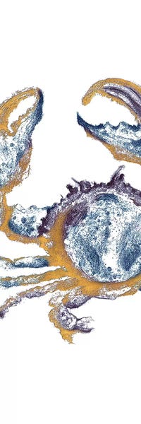 Crabs: Surf Side Golden Blue Crab by Patricia Pinto