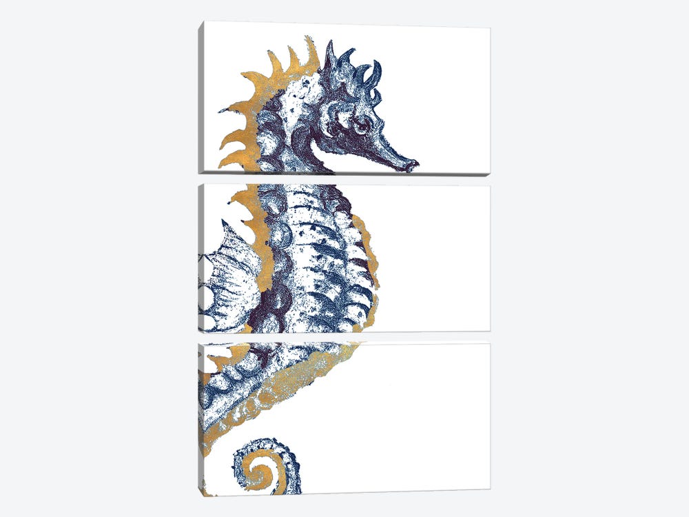 Surf Side Golden Blue Seahorse by Patricia Pinto 3-piece Canvas Artwork