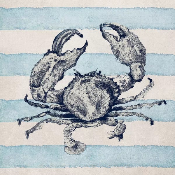 Crabs: Surf Side Striped I by Patricia Pinto