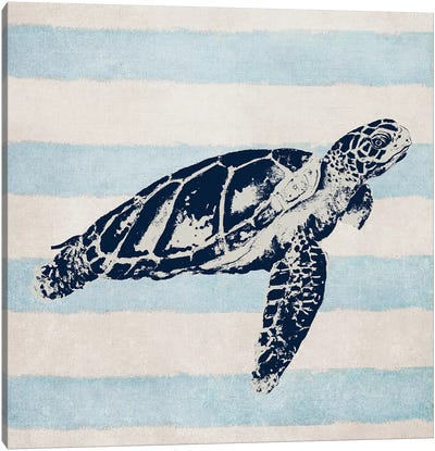 Surf Side Striped III Canvas Art Print - Turtle Art