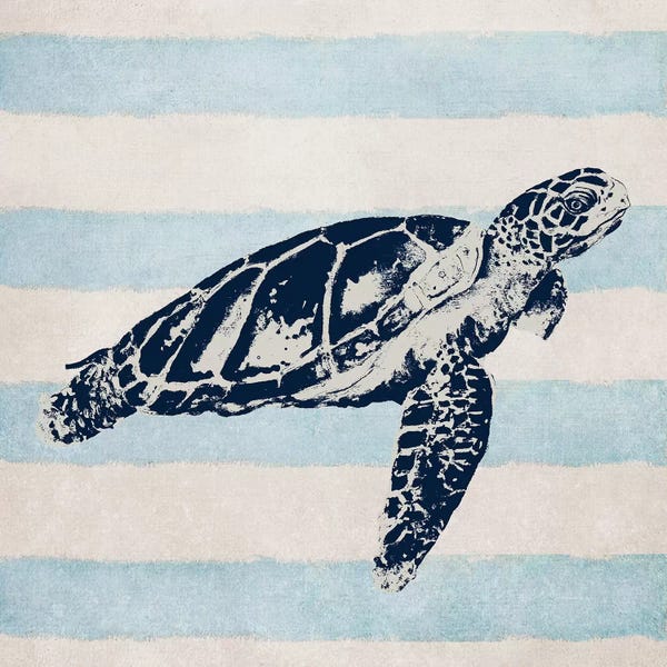 Turtles: Surf Side Striped III by Patricia Pinto