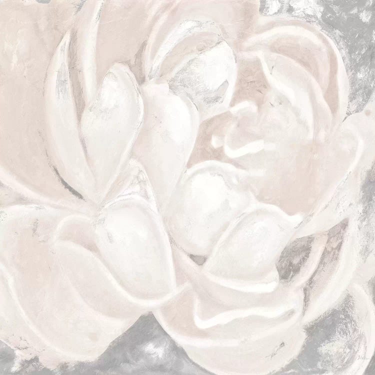 White Grey Flower I by Patricia Pinto wall art