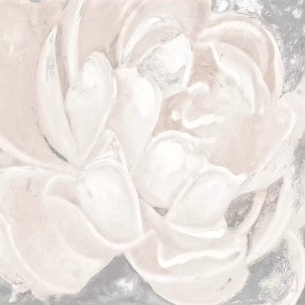 Patricia Pinto: White Grey Flower I by Patricia Pinto