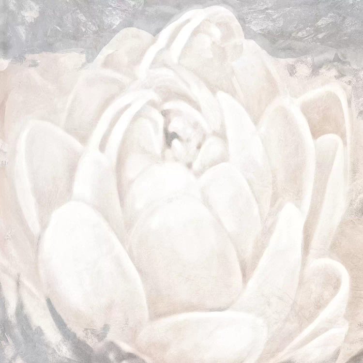 White Grey Flower II by Patricia Pinto wall art
