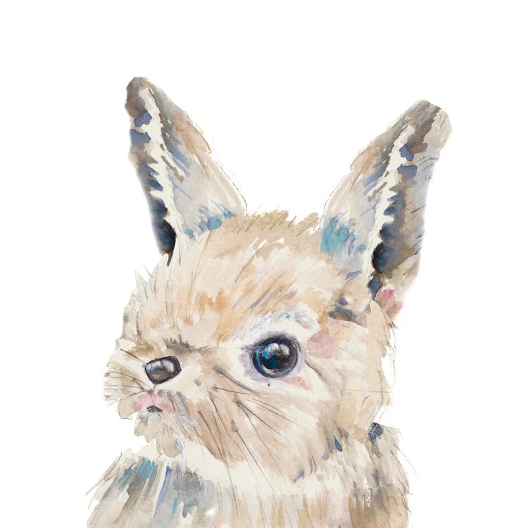 Baby Bunny Close Up by Patricia Pinto wall art