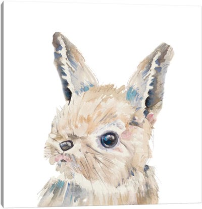 Baby Bunny Close Up Canvas Art Print - Baby Animal Art