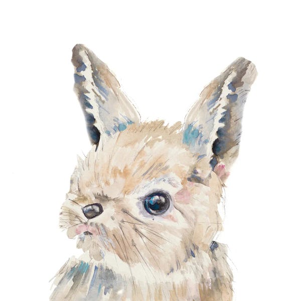 Rabbits: Baby Bunny Close Up by Patricia Pinto