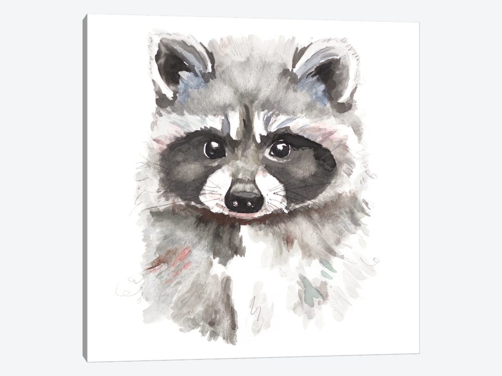 Baby Raccoon by Patricia Pinto 1-piece Art Print