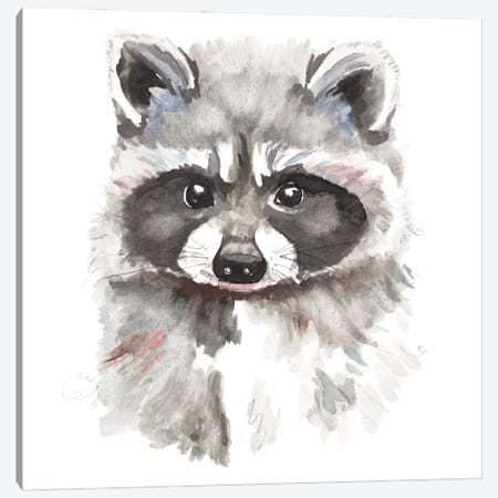 Baby Raccoon Canvas Print #PPI631} by Patricia Pinto Canvas Print