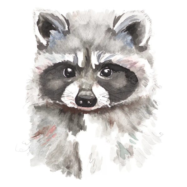 Raccoons: Baby Raccoon by Patricia Pinto