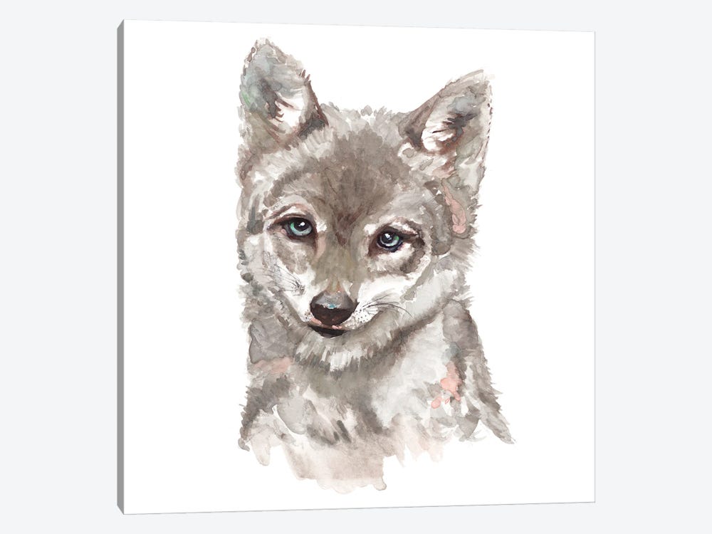 Baby Wolf by Patricia Pinto 1-piece Canvas Wall Art