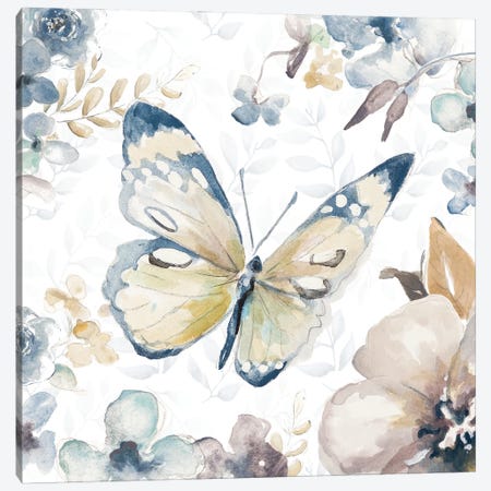 Butterfly Beauty II Canvas Print #PPI638} by Patricia Pinto Art Print