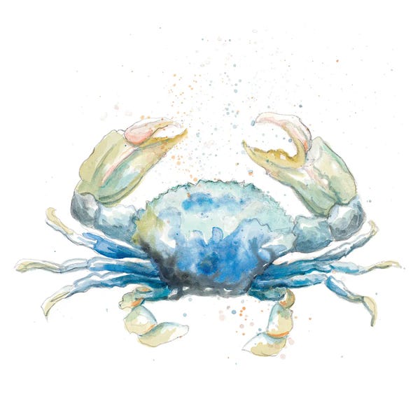 Crabs: Cangrejo Azul Square by Patricia Pinto