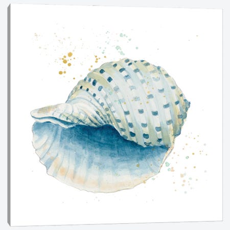 Caracol Azul Square Canvas Print #PPI640} by Patricia Pinto Canvas Wall Art