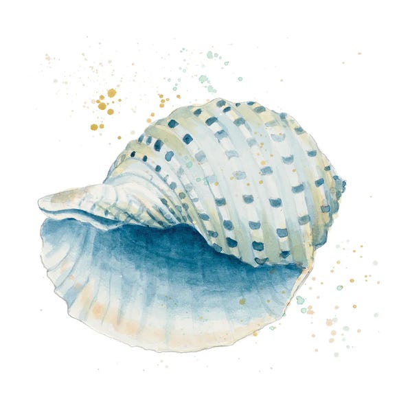 Sea Shells: Caracol Azul Square by Patricia Pinto
