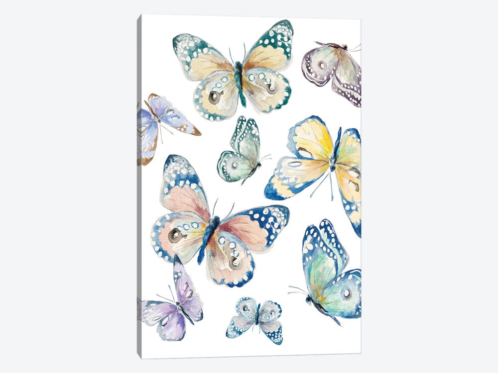 Colorful Isolated Butterflies by Patricia Pinto 1-piece Canvas Wall Art