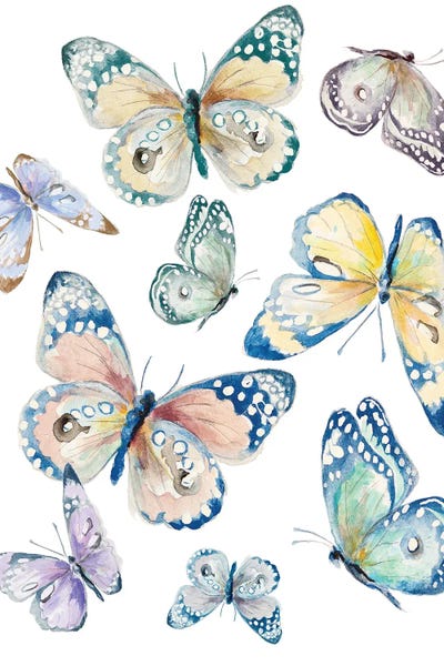 Patricia Pinto: Colorful Isolated Butterflies by Patricia Pinto