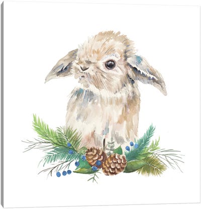 Floppy Eared Bunny on Greenery Canvas Art Print - Easter Art