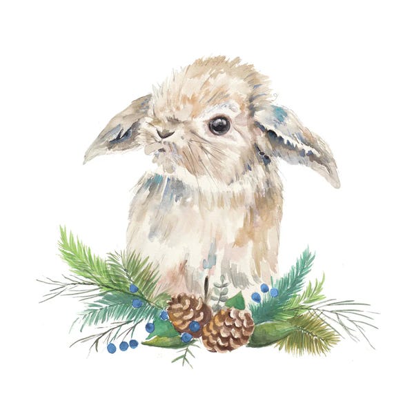 Patricia Pinto: Floppy Eared Bunny on Greenery by Patricia Pinto