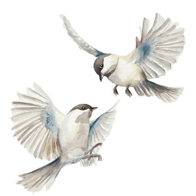 Isolated Birds by Patricia Pinto canvas print