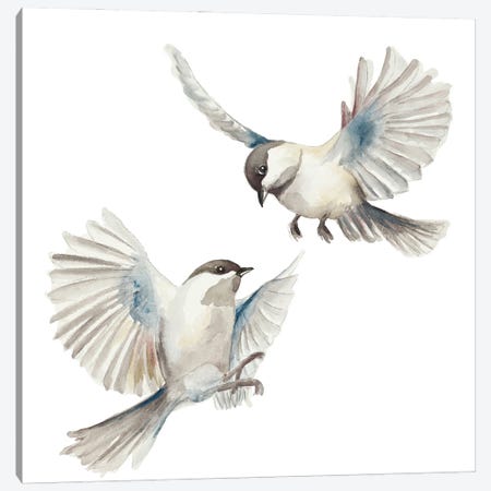 Isolated Birds Canvas Print #PPI657} by Patricia Pinto Canvas Art