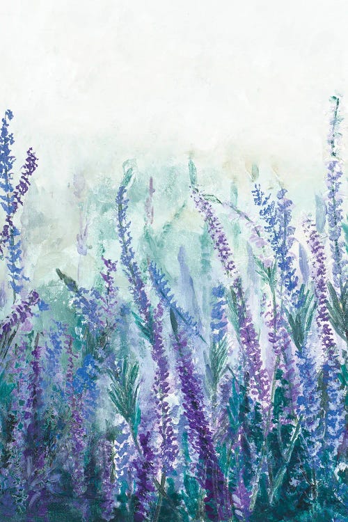 Lavender Garden I by Patricia Pinto canvas print