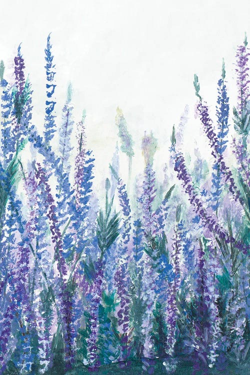 Lavender Garden II