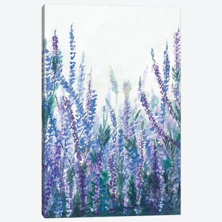 Lavender Garden II Canvas Print #PPI661} by Patricia Pinto Canvas Artwork