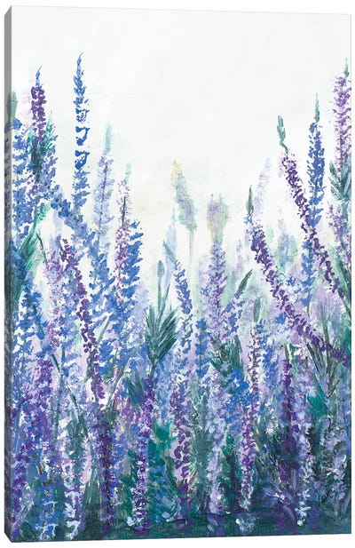Lavender Garden II Canvas Art Print - Pantone 2022 Very Peri