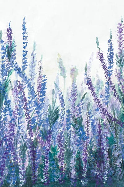 Patricia Pinto: Lavender Garden II by Patricia Pinto