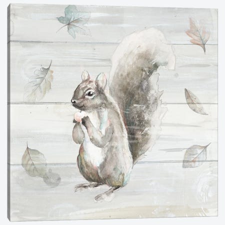 Neutral Squirrel Canvas Print #PPI662} by Patricia Pinto Canvas Art