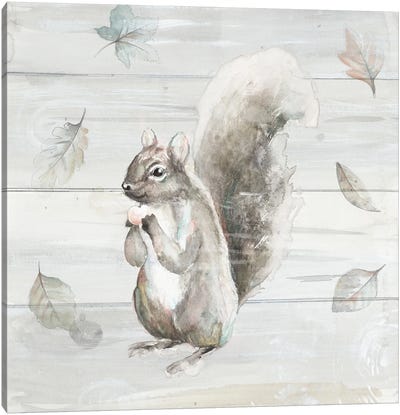 Neutral Squirrel Canvas Art Print - Squirrel Art